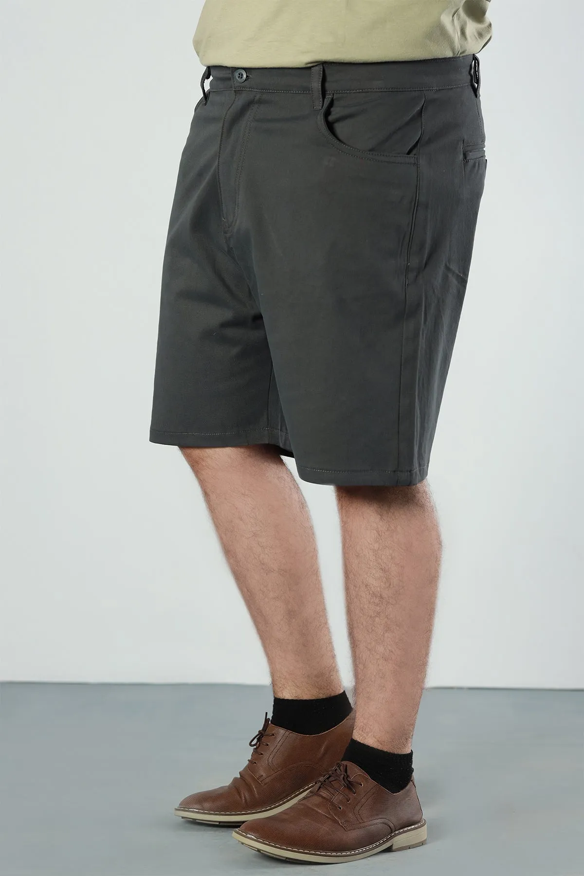 Sea Moss Chino Shorts (Plus Size) - P22 - MSH044P